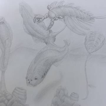 ミロクンミンギア科が4つ眼だった話を聞いてかいてみたやつ