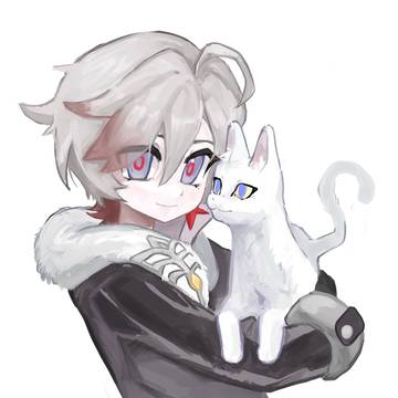 イルーガト不思議なねこ