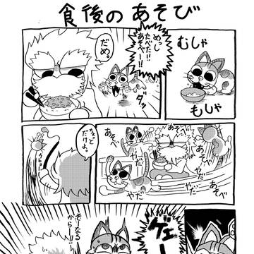 食後の運動をする猫の話