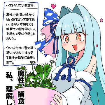 葵ちゃん