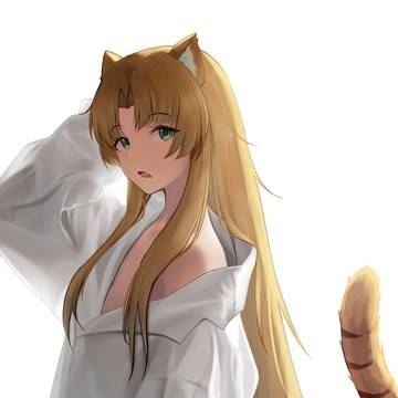 スワイヤー 17