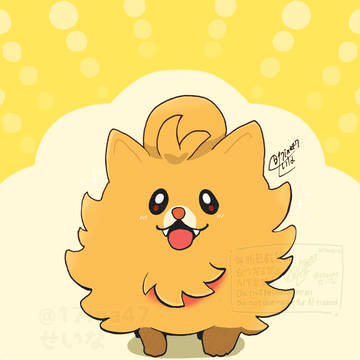 待望のわんこ御三家 ポムケン