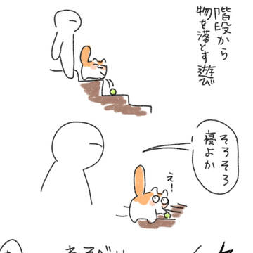 猫飼育日記8