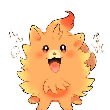 ポムケンきゃわわ