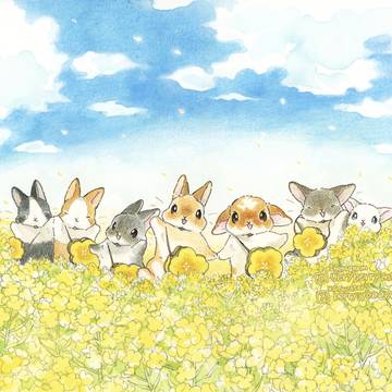 🌼菜の花畑🌼2222日目