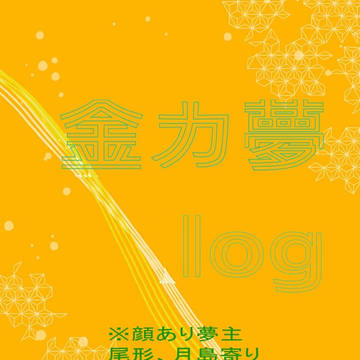 金カ夢log13