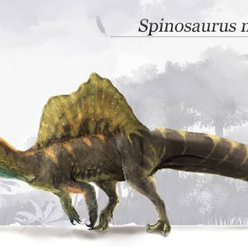 スピノサウルス・ミラビリス