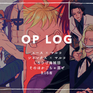マルコ右中心 LOG