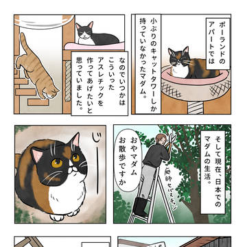 マダムのアスレチック