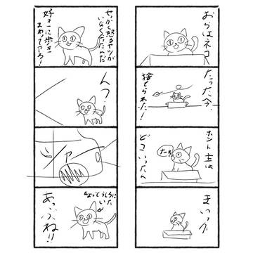 捨て猫の生きるみち①