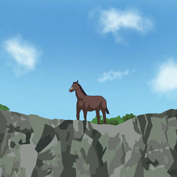 主に岩壁の練習