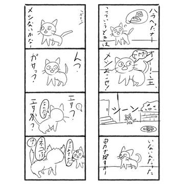 捨て猫の生きるみち②