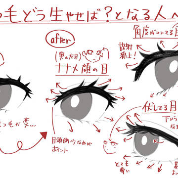 まつ毛どう生やせば?となる人へ