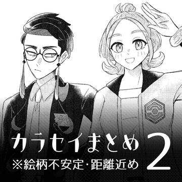 カラセイまとめ2