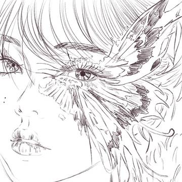 butterfly