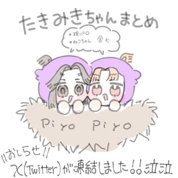 滝三木ちゃんまとめ