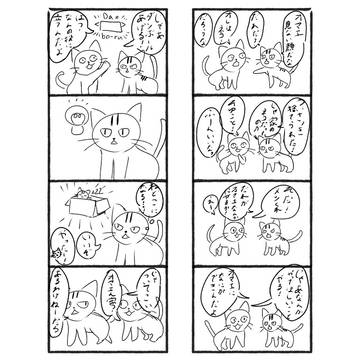 捨て猫の生きるみち③