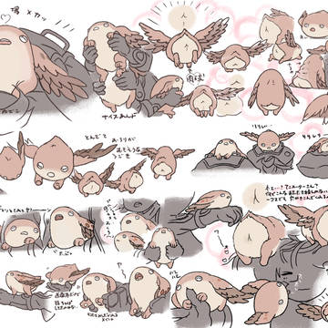 メイニャ詰め