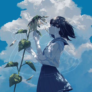 夏も、もう終わり