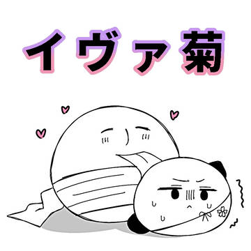 🌻🍙