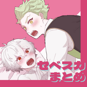 セベスカまとめ3