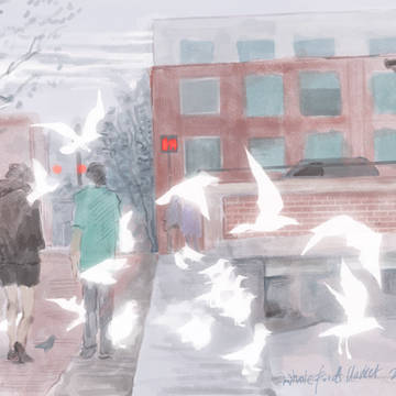 Landscapes 5