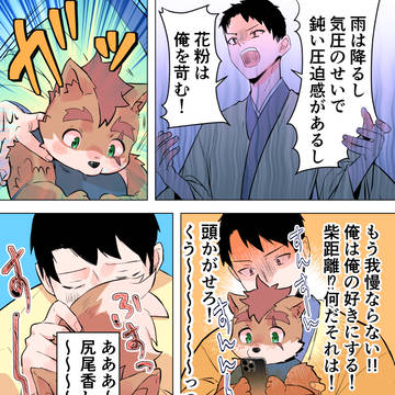 季節の変わり目