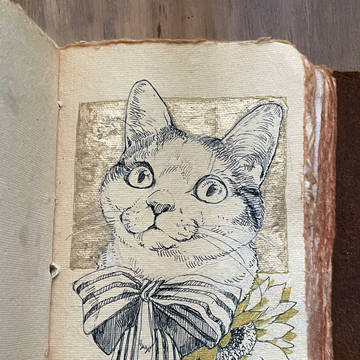 金と黒のねこちゃんたち(まとめ1)