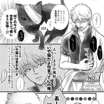 銀さんが猫を拾う話