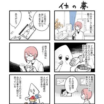 イカの夢
