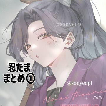忍たままとめ①