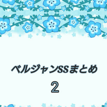 ベルジャンSSまとめ-2