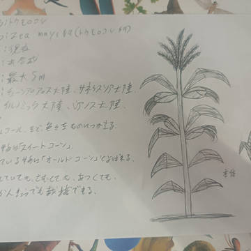 オルビ・ステラ内の生物