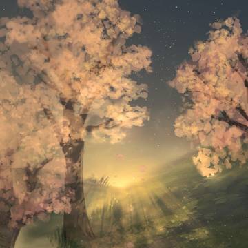 時間がゆっくり流れていく春夜に見た光