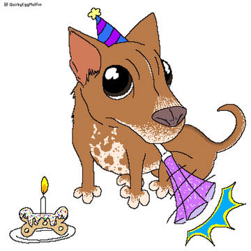 Birthday Dog