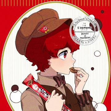 プリシリーズ　チョコチップ
