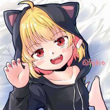 ねこなのかー