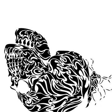 骨の羽