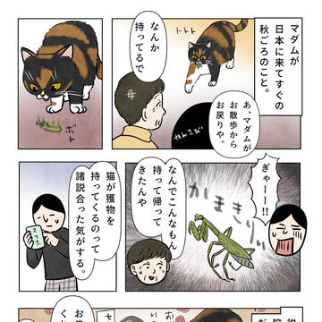 礼儀をわきまえたマダム