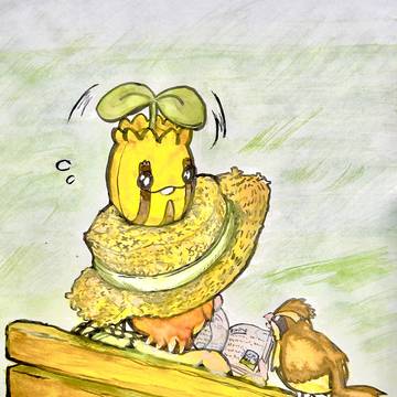 ヒマナッツまとめ