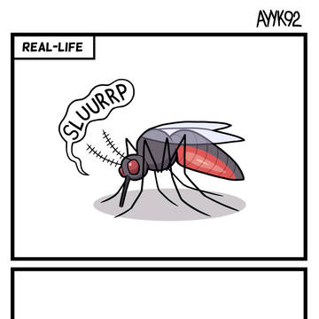Mosquito Season