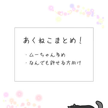 あくねこまとめ！