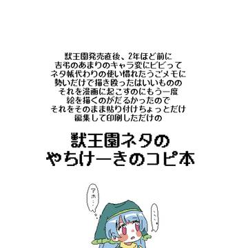 紅楼夢で出した無配のコピ本【再録】