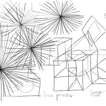 C and S lines practice