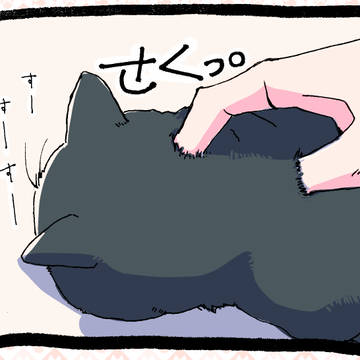 うちの猫の話をきいてくれ。