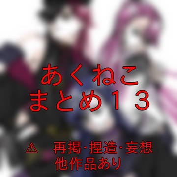 あくねこまとめ13