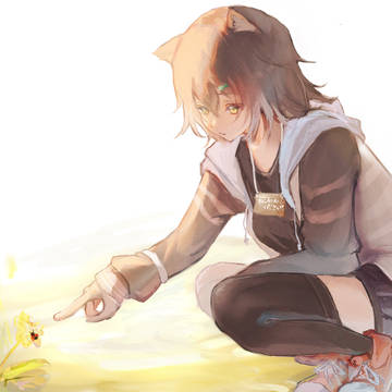 野良猫