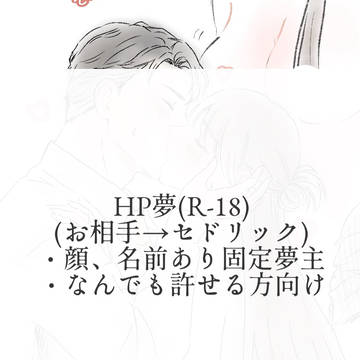 HP夢(R-18)まとめ①
