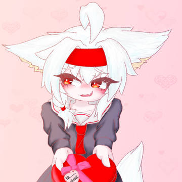 Valentines gift