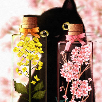 桜と菜の花の瓶詰め